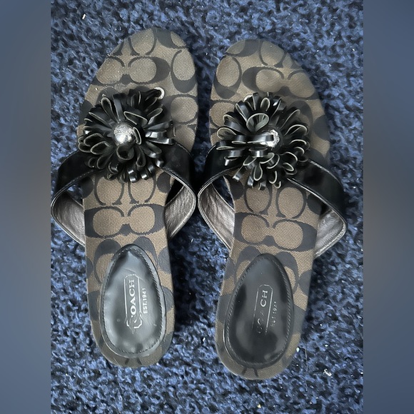 coach - Picture 1 of 1